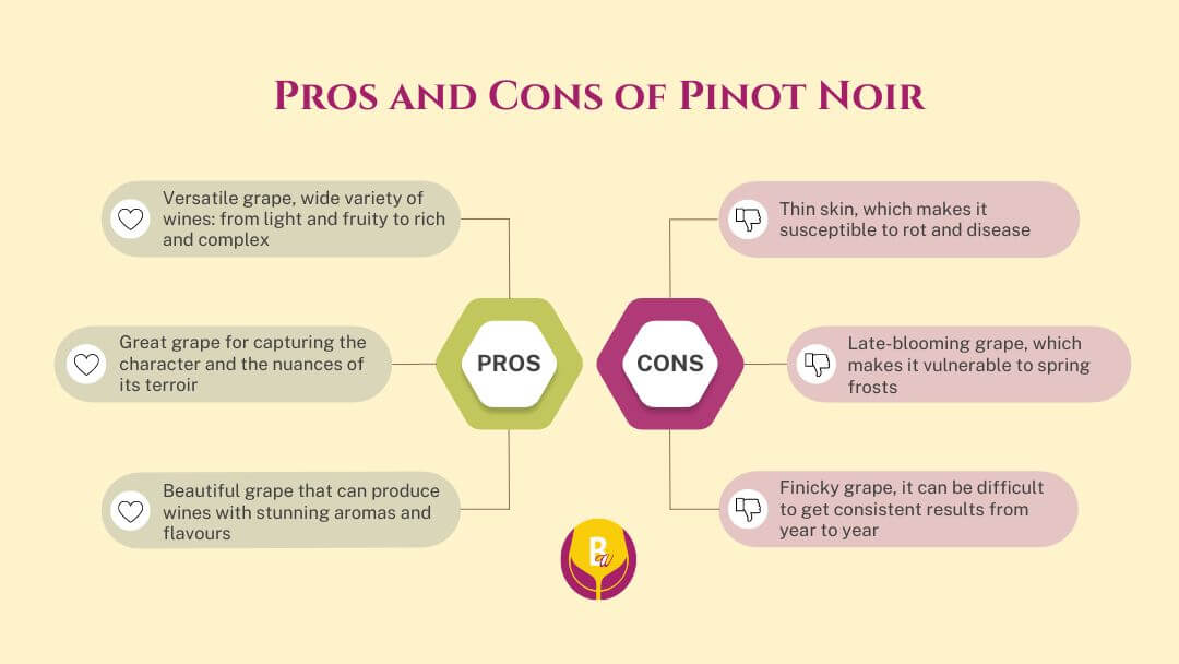 Pinot Noir Pros and Cons